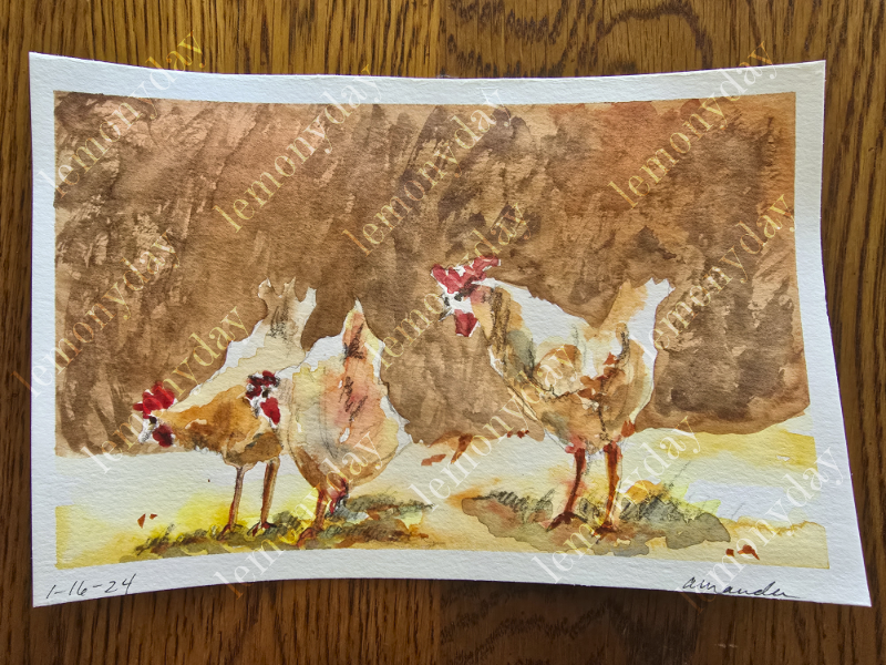 class exercise - chickens quick study